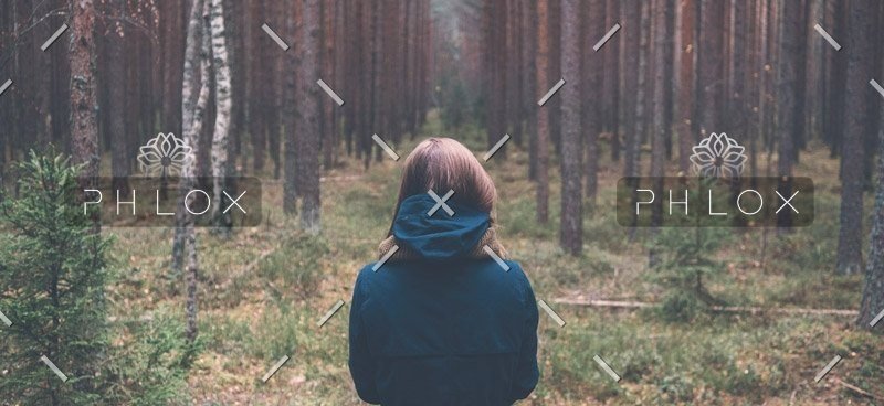 demo-attachment-2504-photo-1427805371062-cacdd21273f1-2